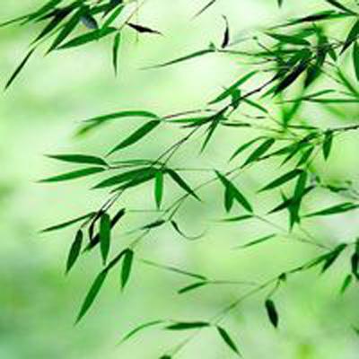 风暴军团内购破解下载